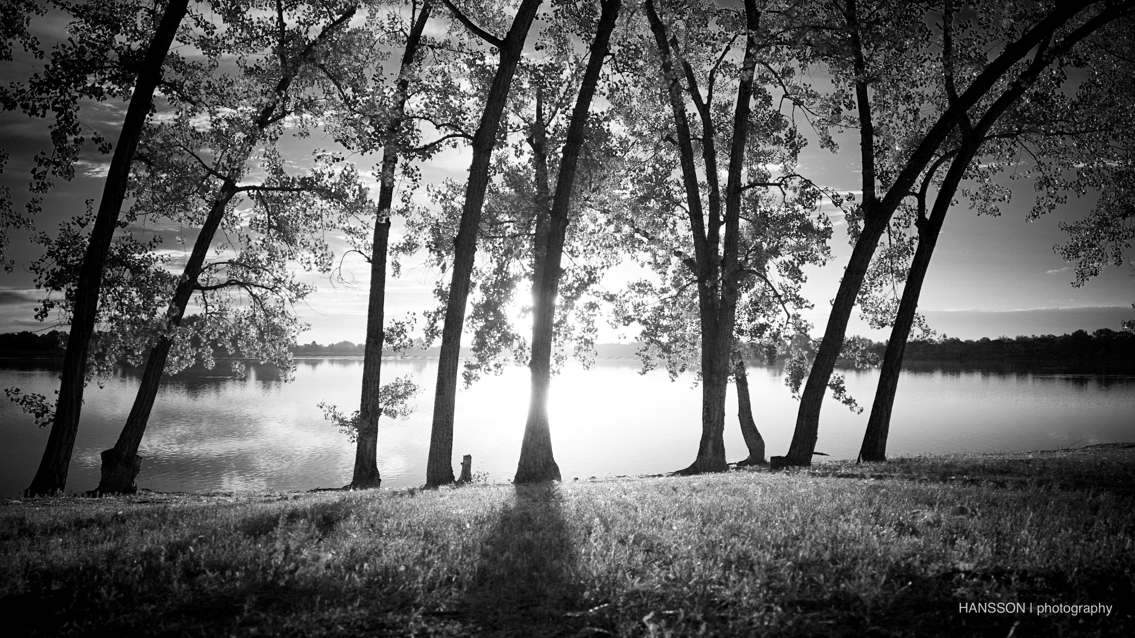 DSC08752BW DSC08752BW